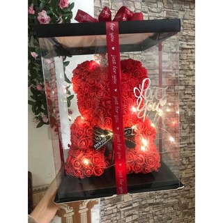 combo 20hộp đựng gấu 25cm
