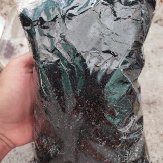 Đất trồng xương rồng sen đá