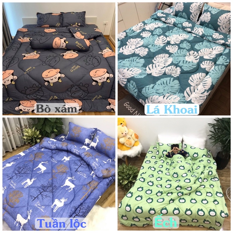 Bộ 5 Ga Gối Chăn Phao Trần Bông Dày Poly Cotton loại 1 Chăn Bông Như Hình Nhiều Mẫu Mới ( Nhắn Chọn Mẫu)