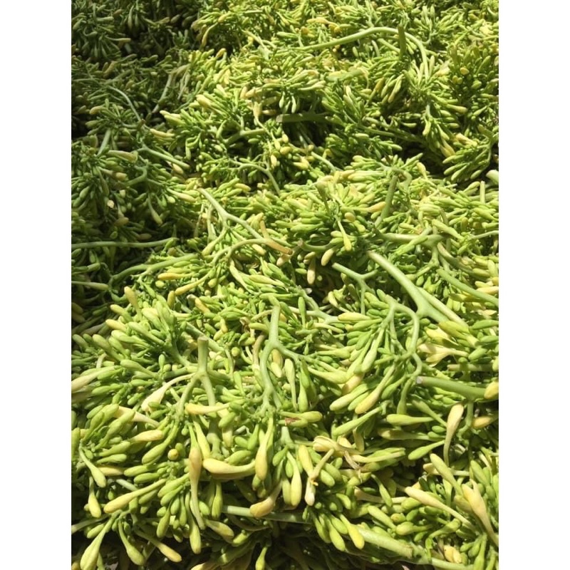 1kg Hoa đu đủ đực khô Hoà Bình (Sao vàng hạ thổ)