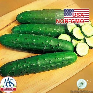 50.HẠT Hạt Giống Dưa Chuột Bụi Giòn Cao Sản Saladmore (| B47*X52)