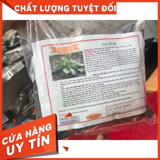 Hạt Mã Đề 1 Kg (Xa Tiền Tử) - 100% Chất Lượng - Thảo Dược Uy Tín