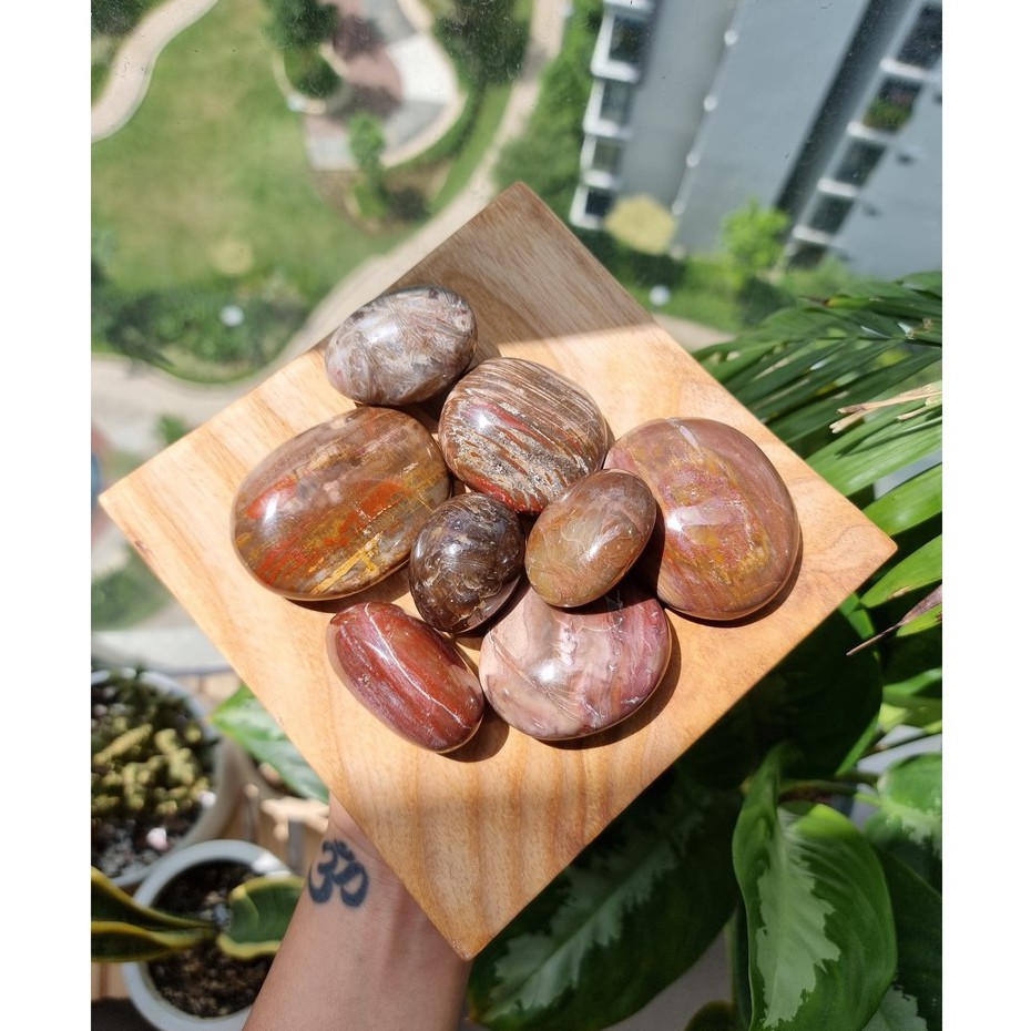 Viên Gỗ hóa thạch (Petrified Wood Palm), đá thanh tẩy tarot, reiki, phong thủy