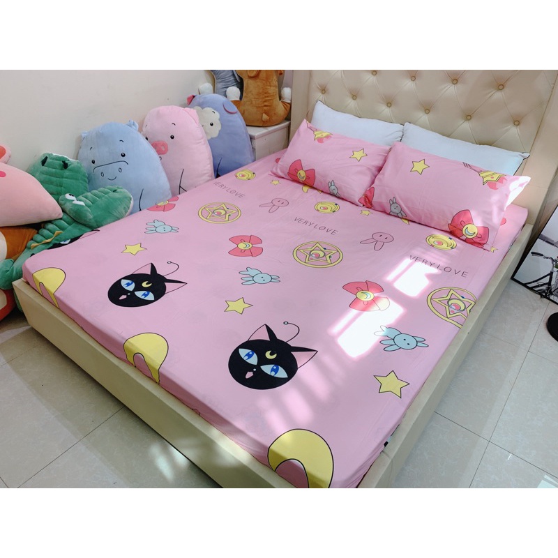 Ga Gối polly các mẫu KuTe