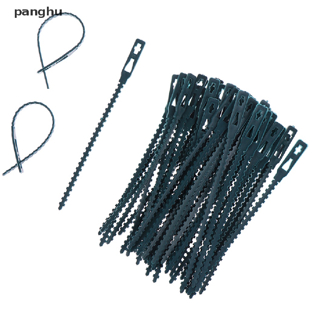 Bộ 50 Nhựa Có Thể Tái Sử Dụng