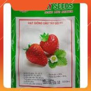 Hạt giống dâu tây lucky gói 100 hạt