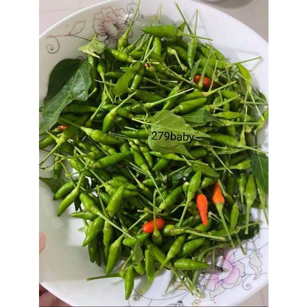 Ớt xiêm rừng sốc muối ,cay giòn quanh năm .chai 330ml 🌶.