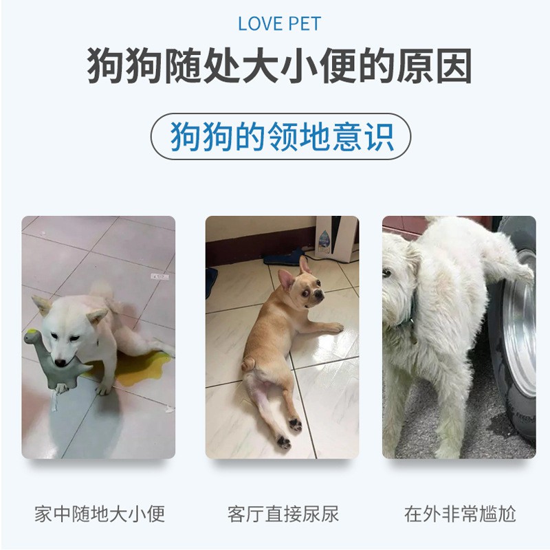 Huấn luyện chó mèo đi Vệ sinh đúng chổ, hàng Borammy