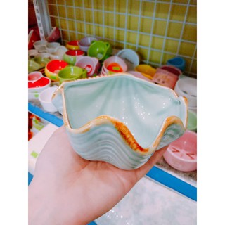 chén ốc biển - vỏ sò cho thú kiểng
