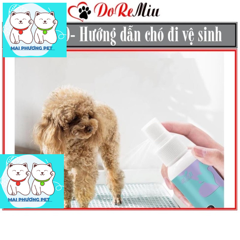 Hướng dẫn chó đi vệ sinh dạng xịt mẫu mới Bobo 120ml