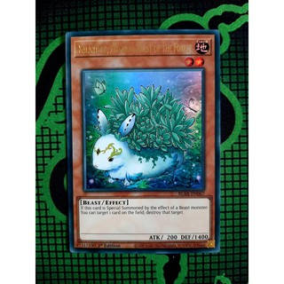 [ Đỗ Lạc Shop ] Thẻ Bài Yugioh Mint90 Monster Kalantosa, Mystical Beast of the Forest - Ultra