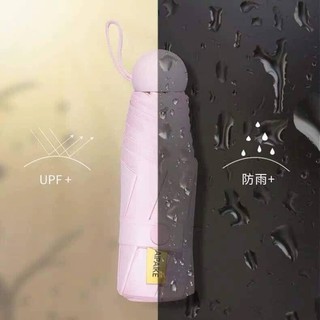 Ô gấp gọn siêu tiện lợi