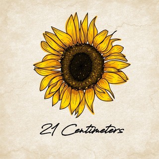 Tiệm bạc 21 Centimeters