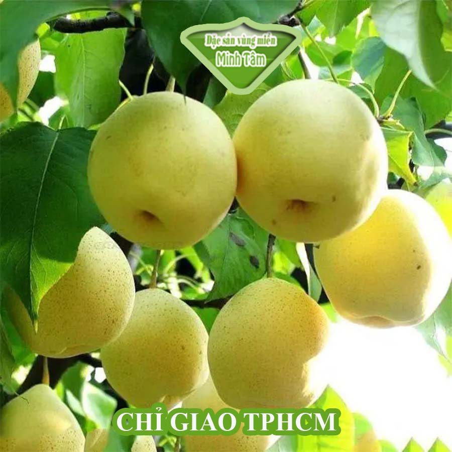 Lê đường chín cây tươi ngon dòn ngọt - CHỈ GIAO TP.HCM