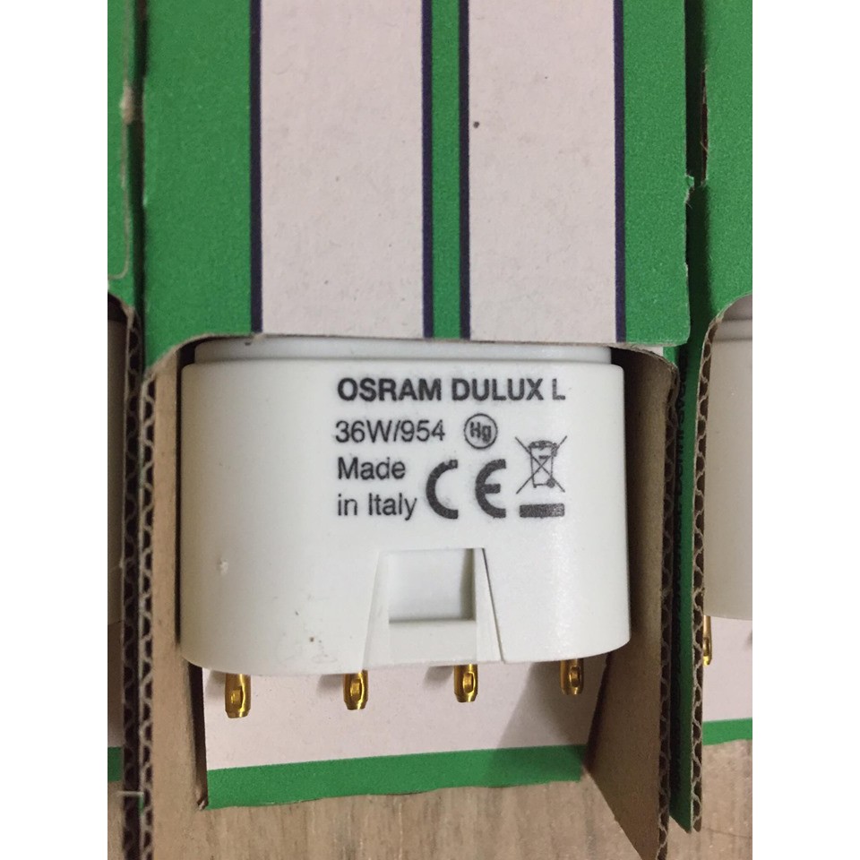 Bóng đèn tanning cá rồng OSRAM PL 954 - 36W