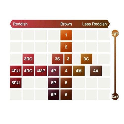 NHUỘM THẢO DƯỢC CIELO TONE 4 CỦA NHẬT | BigBuy360 - bigbuy360.vn