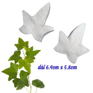 Gân láthường xuân ( lá nguyệt quế dây)