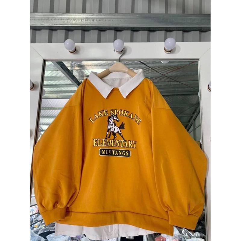 Áo swt con ngựa chất nỉ bông dày dặn HANA238 | BigBuy360 - bigbuy360.vn