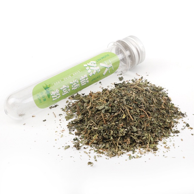 Cỏ catnip gây hưng phấn cho mèo 45ML