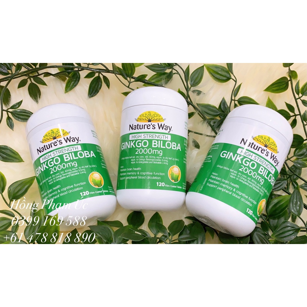 Hoạt Huyết Dưỡng Não Natures Way Ginkgo Biloba 2000mg 120 Viên - DATE 08/24