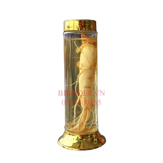 Bình ngâm sâm giá rẻ 1.48 lít . bình ngâm rươu . keo rươu . bình thủy tinh