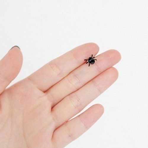 Hoa tai hình nhện thiết kế 3D cho nữ