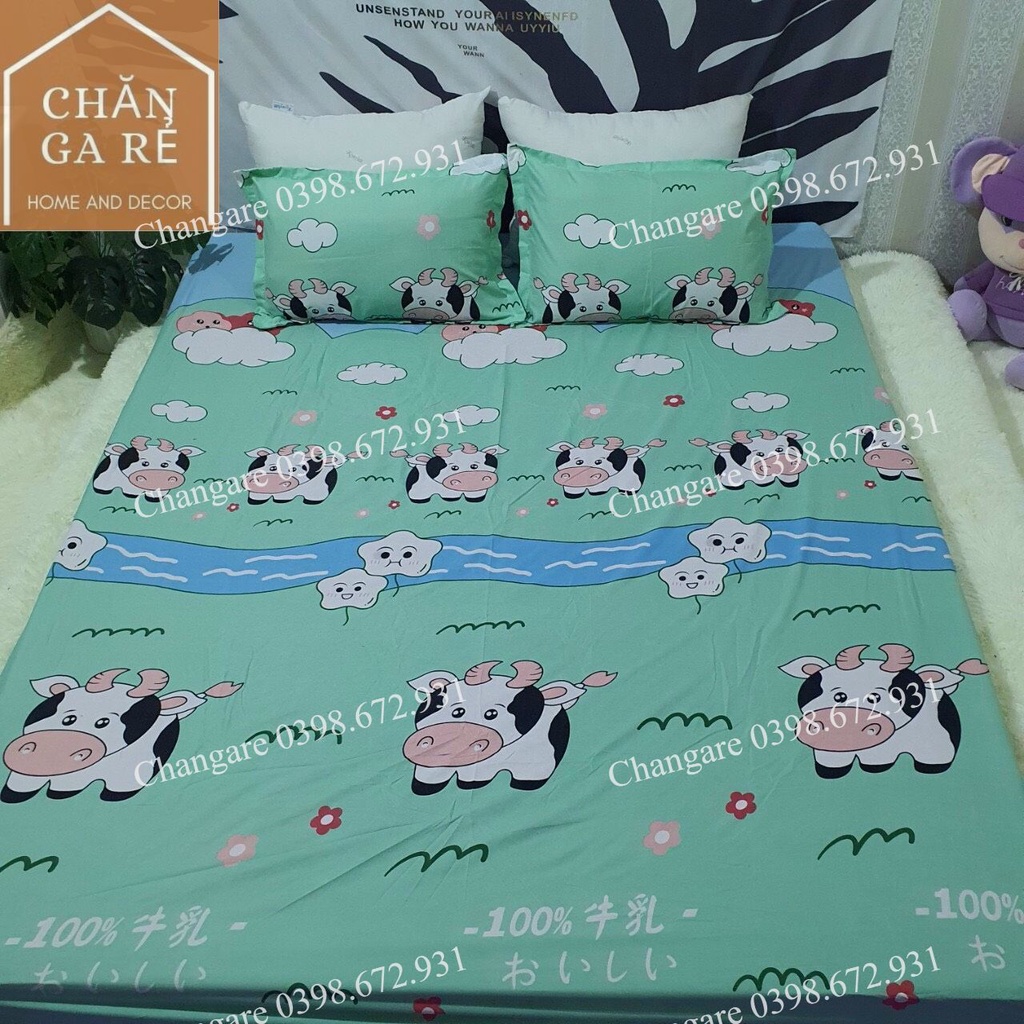 Bộ ga gối bò sữa cottong poly đủ kích thước m6 m8 2m | BigBuy360 - bigbuy360.vn