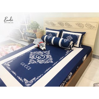 BỘ GA THUN LẠNH 5D XANH ENDI