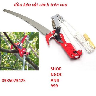 đầu kéo cắt tỉa cành chên cao