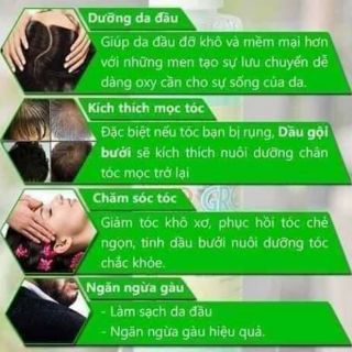 DẦU GỘI THẢO DƯỢC