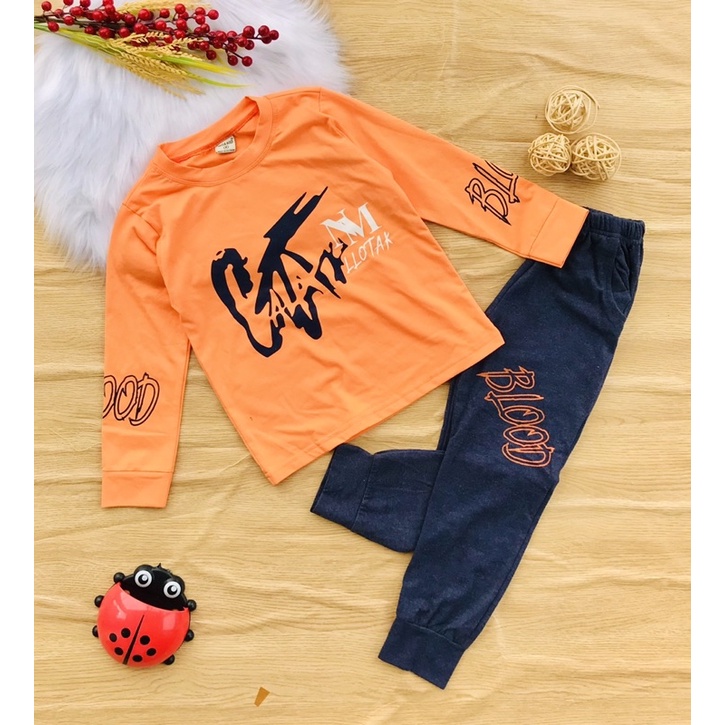 🚁 Bộ dài tay thun cotton cho bé  trai 25-45kg