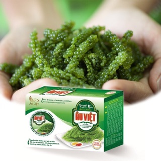 Rong nho âu việt