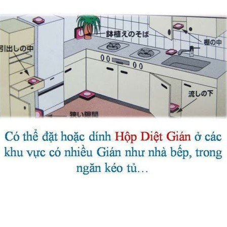 Diệt gián dạng viên (nội địa nhật)