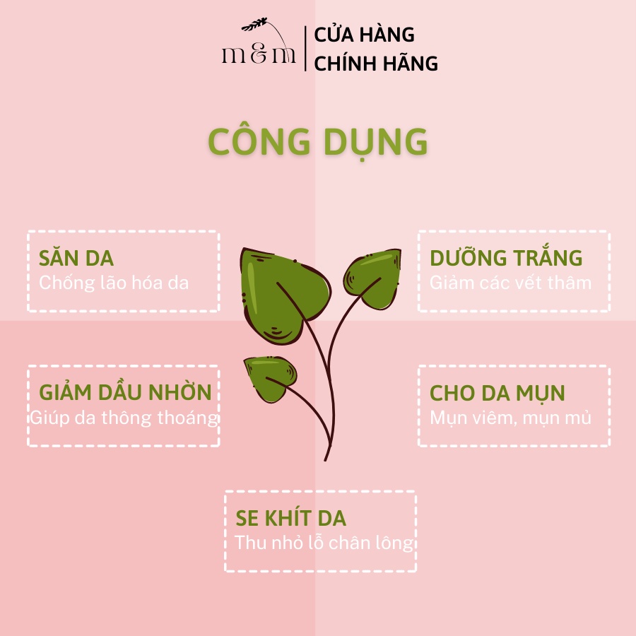Mặt Nạ Rau Diếp Cá Bột Đắp Mặt Giảm Mụn, Trắng Da, Mờ Thâm Sấy Lạnh, Thiên Nhiên Nguyên Chất Hữu Cơ, Handmade Dưỡng Ẩm