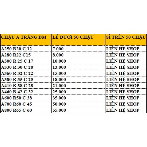 Chậu Trồng Hoa Hồng A300 Size 27x17 Màu Trắng Nhựa Dẻo Dai