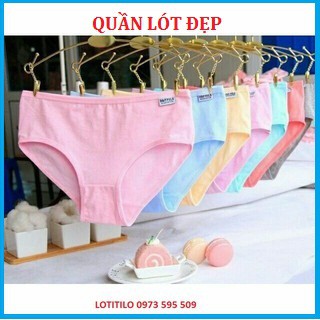 Combo 10 quần lót Cotton Xuất khẩu mỹ