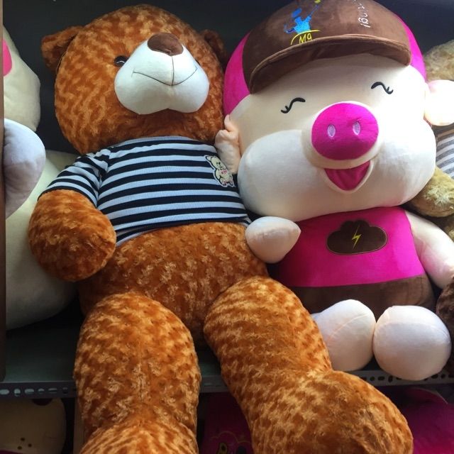 Gấu bông teddy lông xoắn hoa hồng khổ 1m4