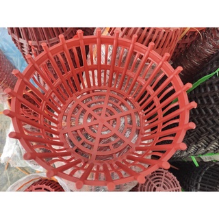 Chậu Nhựa Trồng Lan, Chậu Lan Nan Phụ ( Lan Que) PHI 20, PHI 25, PHI 30
