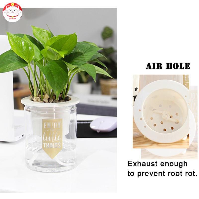 Chậu Cây Mini Tự Tưới Nước Tiện Lợi