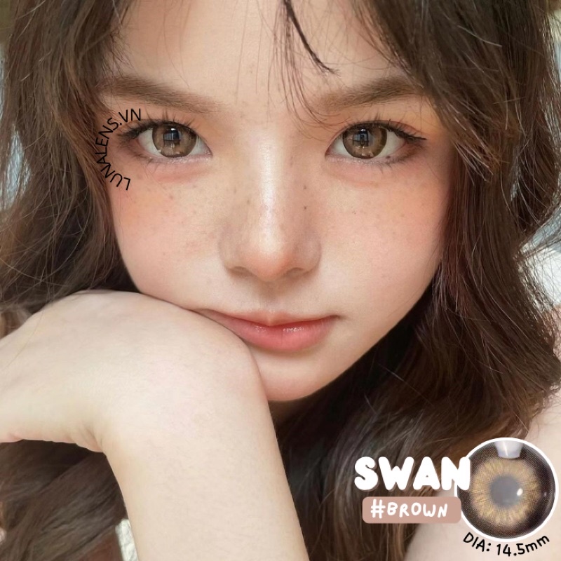 MỘT ĐÔI KÍNH ÁP TRÒNG MÀU NÂU SWAN BROWN SIÊU ÊM SIÊU MỀM NỘI ĐỊA TRUNG QUỐC - LENS CÓ ĐỘ CẬN