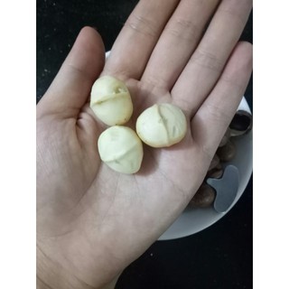 Hạt Mắc ca Úc loại 1