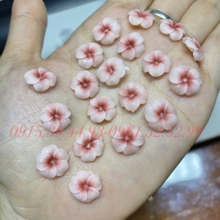 Hoa đậu ombre ( chọn đúng màu theo phân loại )