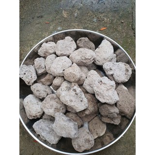 1kg Đá pumice size 2-4 cm