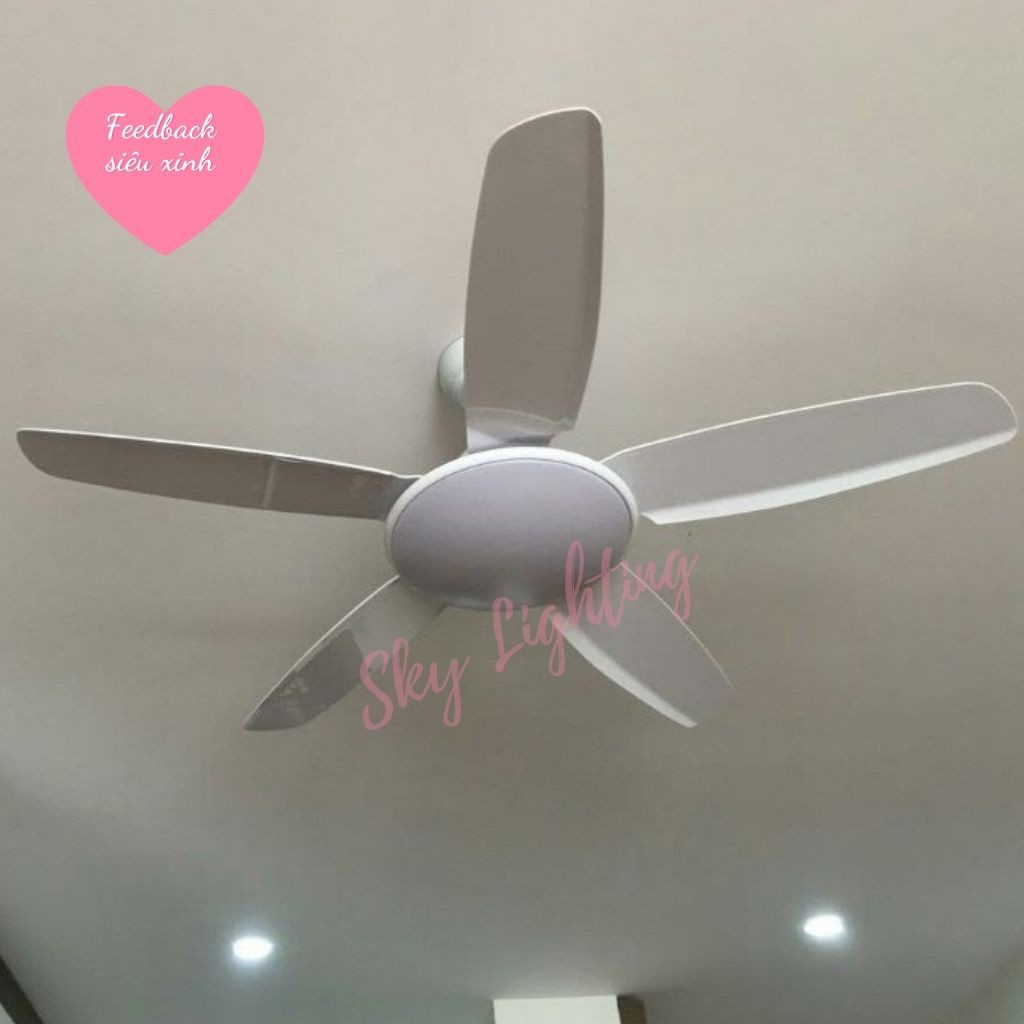 Quạt trần đèn 5 cánh vân gỗ 1m35 kèm điều khiển 6 số Bh động cơ 10 năm SKY LIGHTING