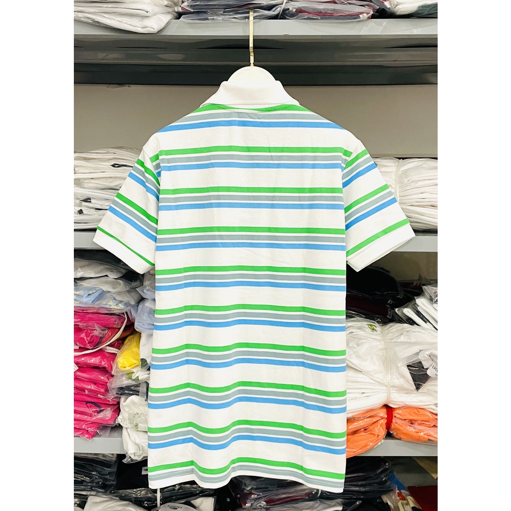 [HÌNH THẬT] ÁO THUN CỔ TRỤ LACOSTE SỌC XANH TRẮNG VNXK   - COTTON CÁ SẤU 100%
