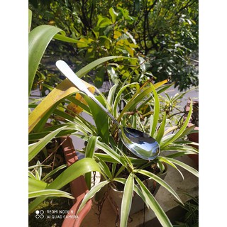 Thìa (Môi) Múc Canh, Xới Cơm Inox Cao Cấp