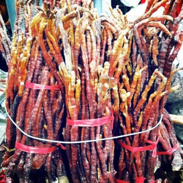 Nấm Linh Chi Sừng Hươu