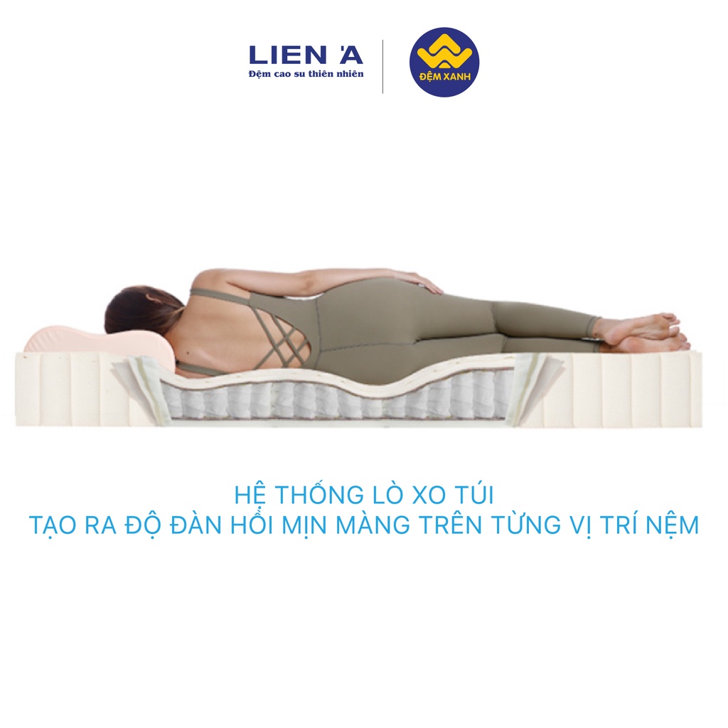 Đệm lò xo túi Liên Á Cocoon 2.0 Luxe