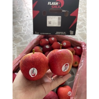Táo Gala Nam Phi - 180k/túi 3kg