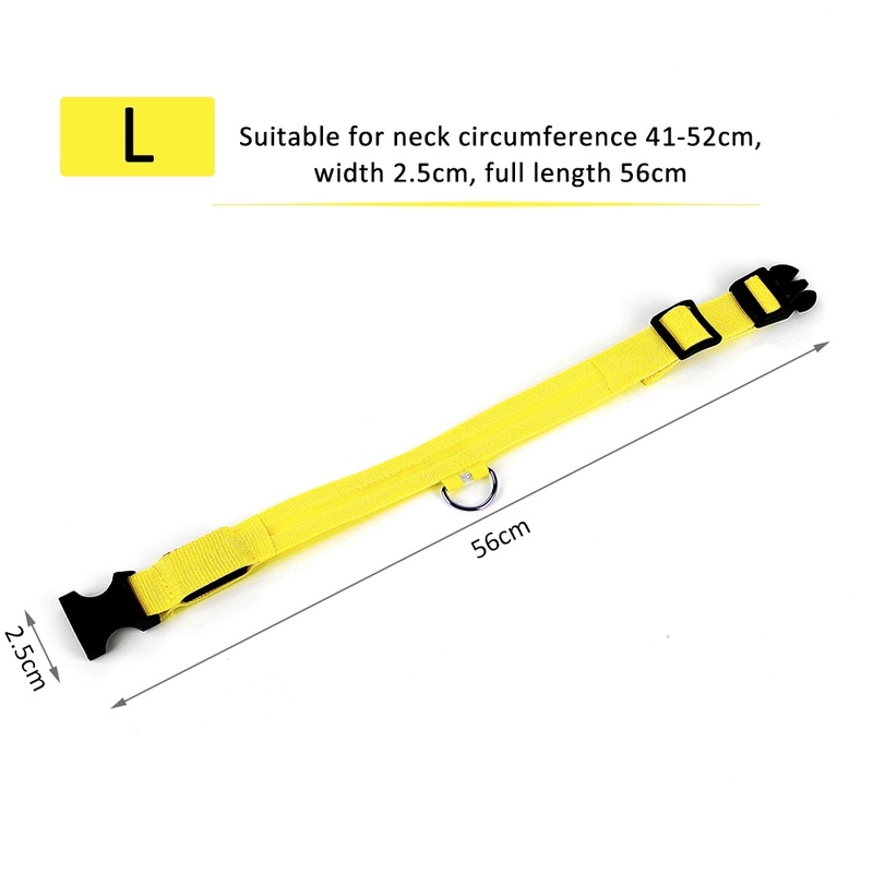 Vòng cổ thú cưng có đèn LED phát sáng độc đáo